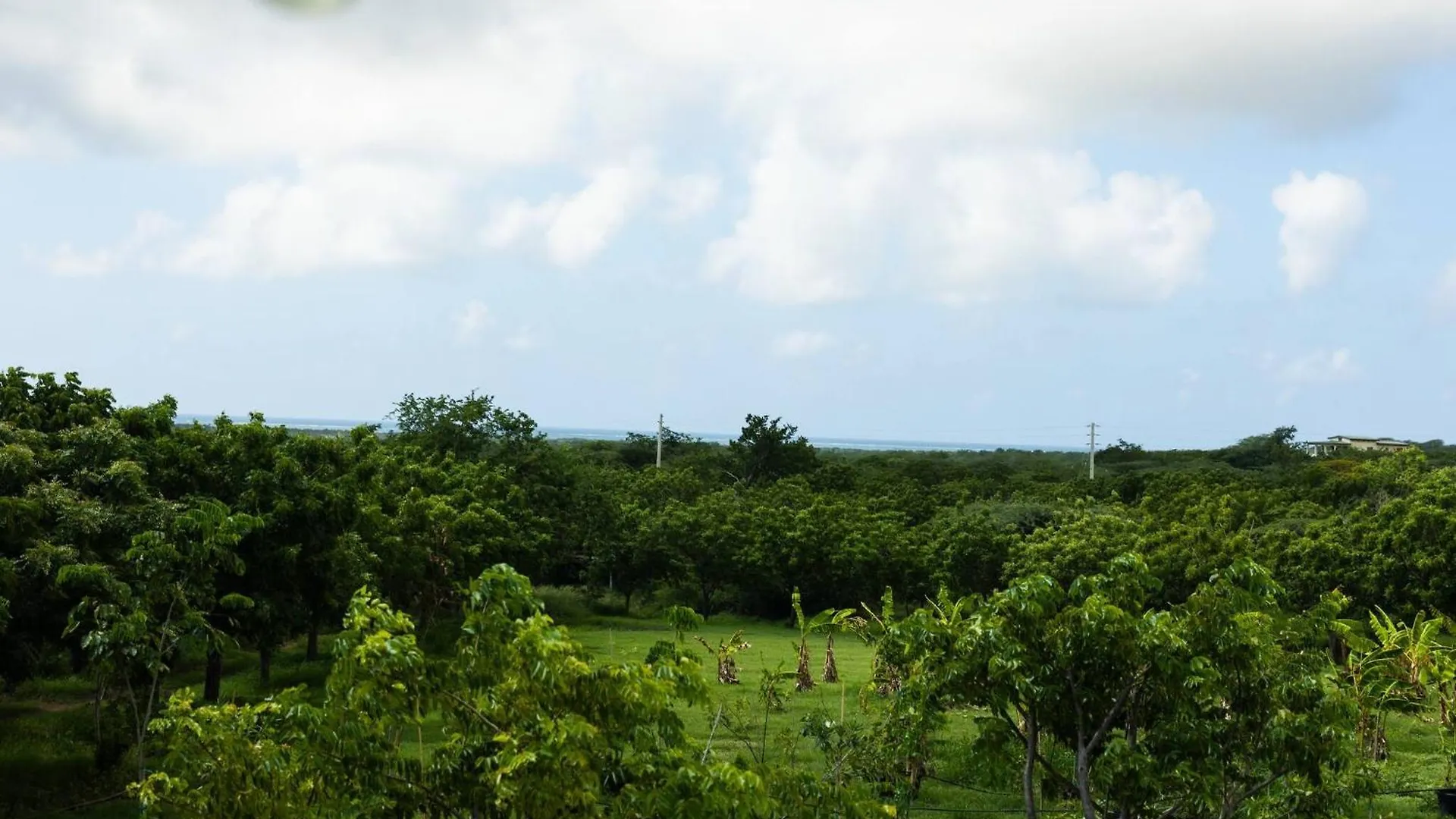 Feriehus Pitahaya Retreat - Cozy Glamping Escape Villa Cabo Rojo Puerto Rico